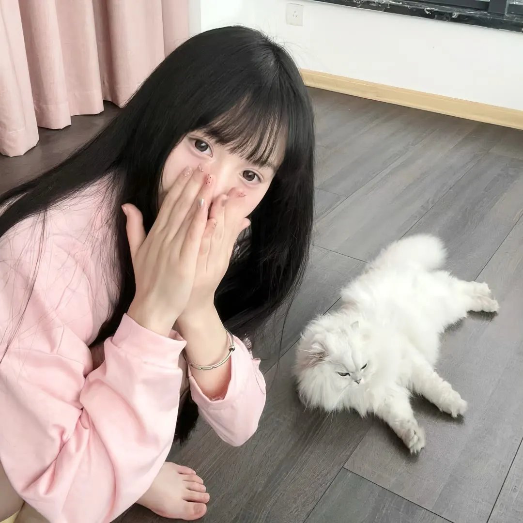 我的抗战之猎豹突击